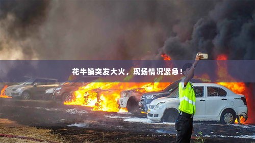 花牛镇突发大火，现场情况紧急！