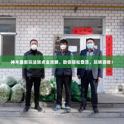 神木最新玩法加点全攻略，助你轻松登顶，玩转游戏！