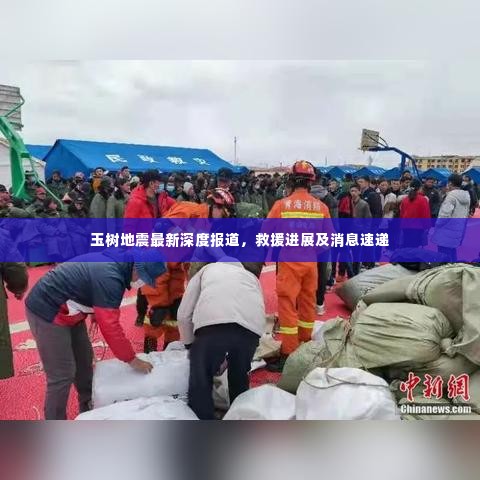 玉树地震最新深度报道，救援进展及消息速递