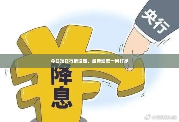 今日短贷行情速递，最新动态一网打尽