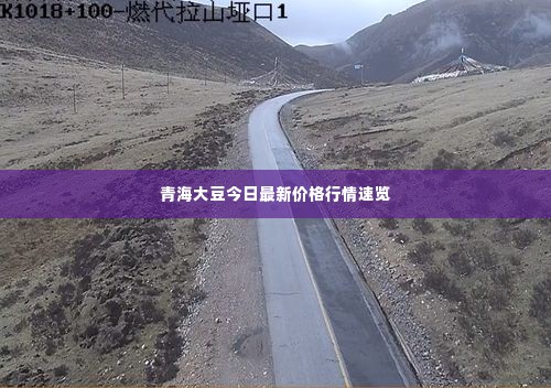 青海大豆今日最新价格行情速览