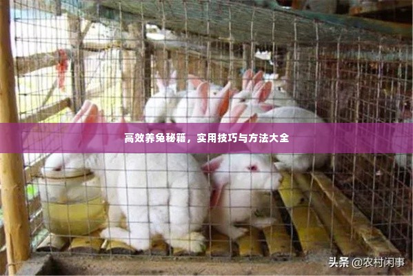 资料下载 第28页