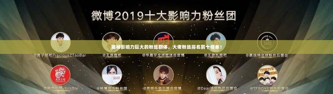 揭秘影响力巨大的粉丝群体，大佬粉丝排名前十榜单！