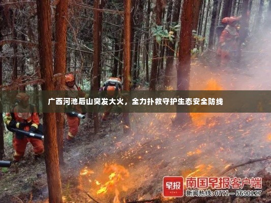 广西河池后山突发大火，全力扑救守护生态安全防线