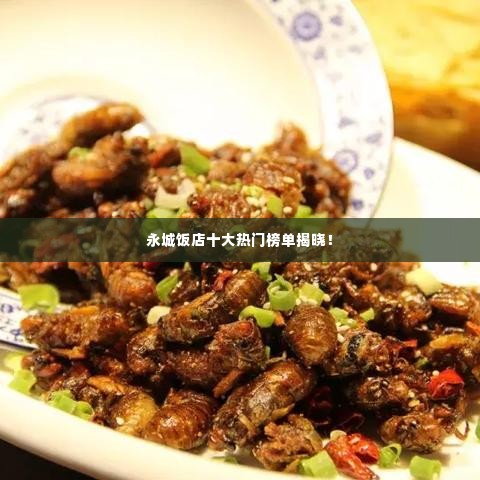 永城饭店十大热门榜单揭晓！