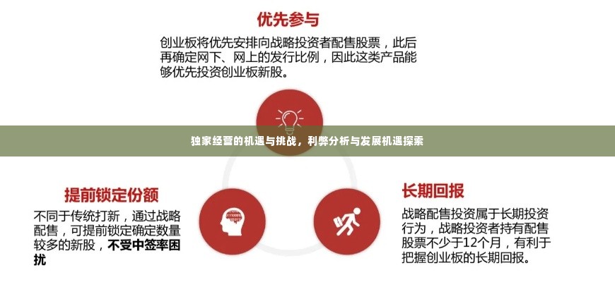 独家经营的机遇与挑战，利弊分析与发展机遇探索
