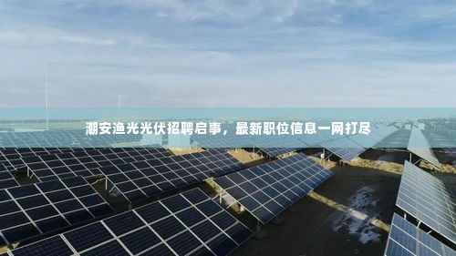潮安渔光光伏招聘启事，最新职位信息一网打尽