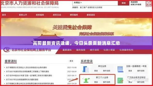 高阳最新资讯速递，今日头条更新消息汇总
