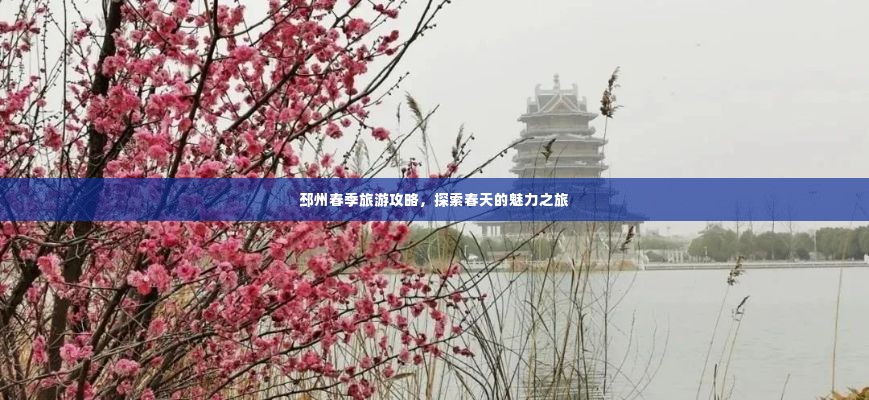 邳州春季旅游攻略，探索春天的魅力之旅