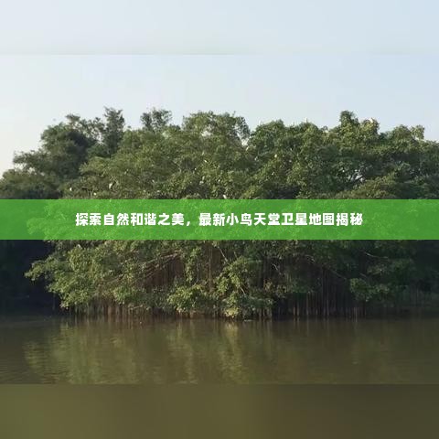 探索自然和谐之美，最新小鸟天堂卫星地图揭秘