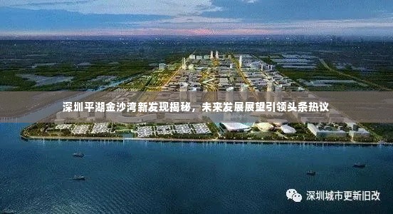 深圳平湖金沙湾新发现揭秘，未来发展展望引领头条热议