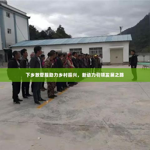 下乡放管服助力乡村振兴，新动力引领发展之路