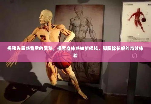 揭秘失重感背后的奥秘，探索身体感知新领域，脚踩棉花般的奇妙体验