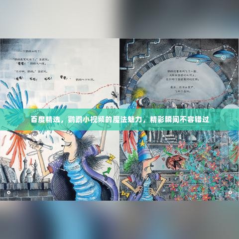 百度精选，鹦鹉小视频的魔法魅力，精彩瞬间不容错过