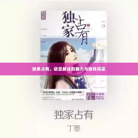 独家占有，动漫解说的魅力与独特风采