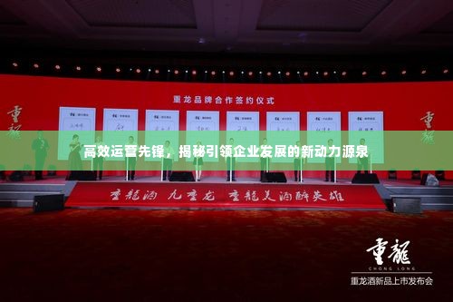 高效运营先锋，揭秘引领企业发展的新动力源泉