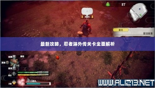 最新攻略，忍者琳外传关卡全面解析