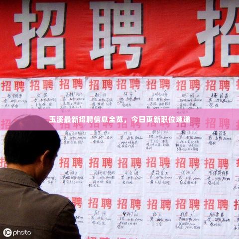玉溪最新招聘信息全览，今日更新职位速递