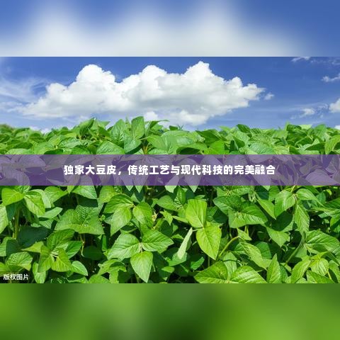 独家大豆皮，传统工艺与现代科技的完美融合