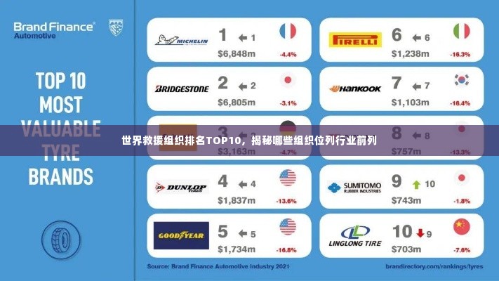 世界救援组织排名TOP10，揭秘哪些组织位列行业前列