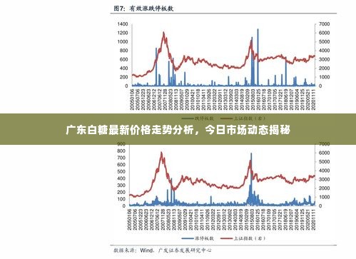 广东白糖最新价格走势分析，今日市场动态揭秘