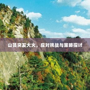 山顶突发大火，应对挑战与策略探讨