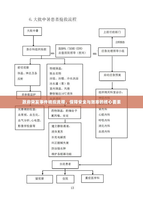 政府突发事件响应流程，保障安全与效率的核心要素