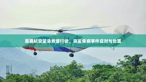 西藏航空紧急救援行动，突发疾病事件应对与处置
