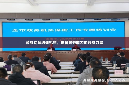 政务专题培训机构，培育政务能力的领航力量