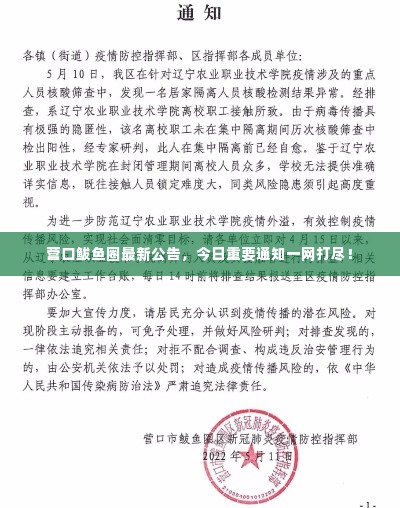 资料下载 第20页