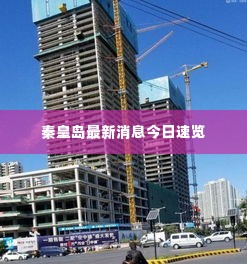 秦皇岛最新消息今日速览