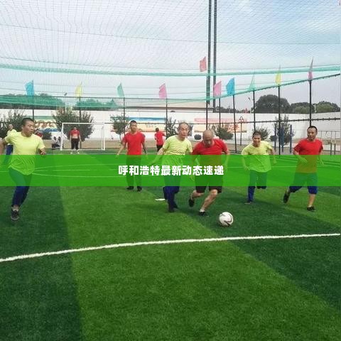 呼和浩特最新动态速递