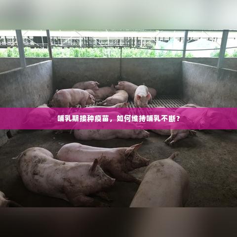 哺乳期接种疫苗，如何维持哺乳不断？