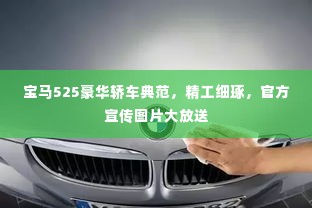 宝马525豪华轿车典范，精工细琢，官方宣传图片大放送