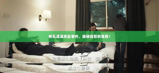 林乐遭遇突发事件，揭秘背后的真相！