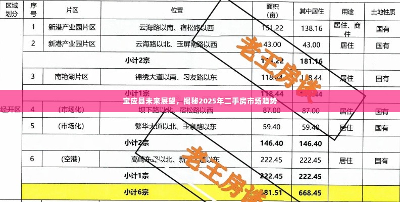 宝应县未来展望，揭秘2025年二手房市场趋势