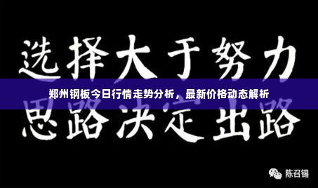 郑州钢板今日行情走势分析，最新价格动态解析