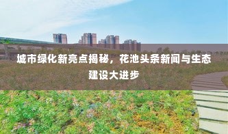 城市绿化新亮点揭秘，花池头条新闻与生态建设大进步