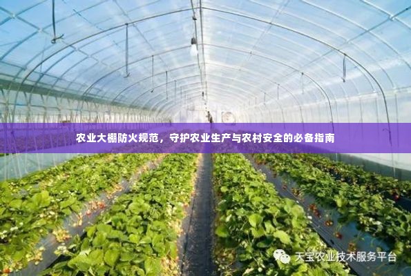 农业大棚防火规范，守护农业生产与农村安全的必备指南