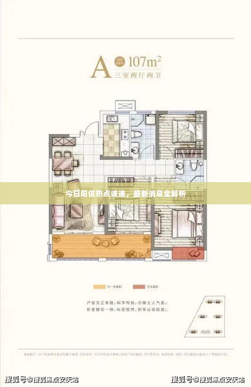 今日阳信热点速递，最新消息全解析