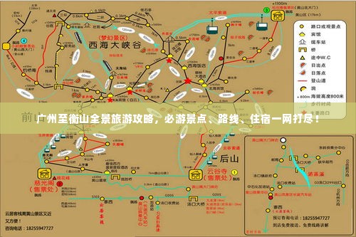 夯雀儿先飞