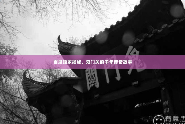 一知半解