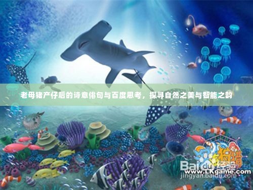 老母猪产仔后的诗意俳句与百度思考，探寻自然之美与智能之韵