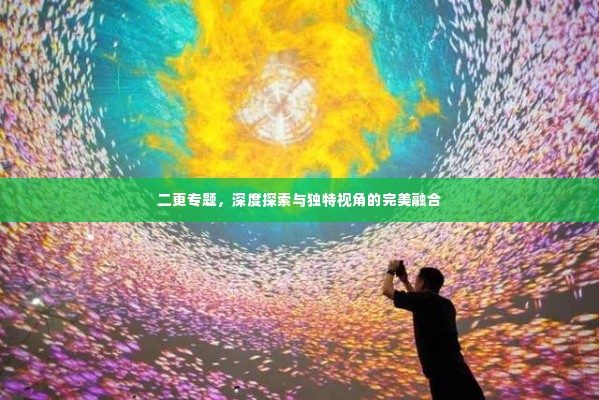 二更专题，深度探索与独特视角的完美融合
