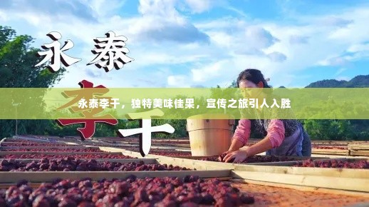 永泰李干，独特美味佳果，宣传之旅引人入胜
