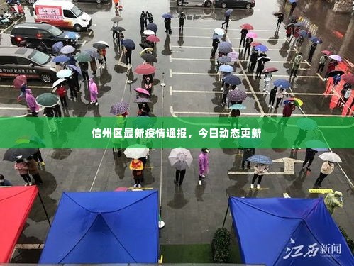 信州区最新疫情通报，今日动态更新