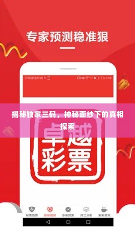 揭秘独家三码，神秘面纱下的真相探索