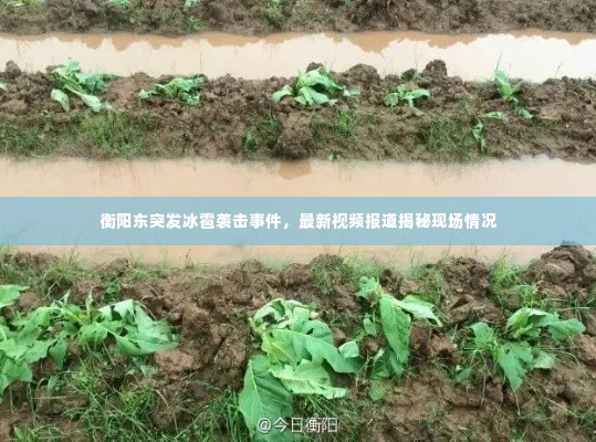 资料下载 第17页