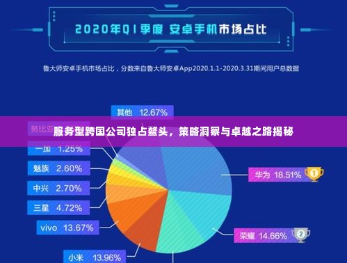 服务型跨国公司独占鳌头，策略洞察与卓越之路揭秘