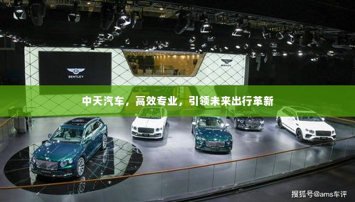 中天汽车，高效专业，引领未来出行革新